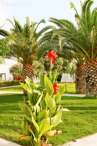 Aliathon Holiday Village 16